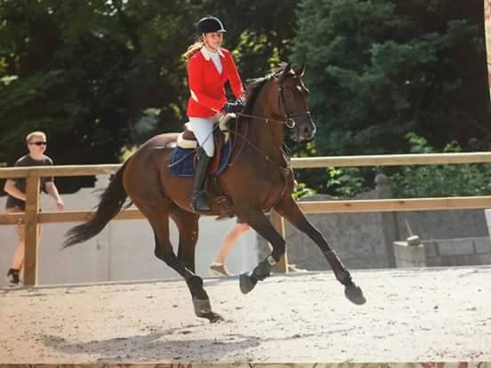 Une belle reconversion pour Greatest, notre ancien pensionnaire, qui évolue avec sa cavalière