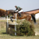 Un ancien pensionnaire de l’Ecurie Seconde Chance au CCI* d’Hambach (DE)