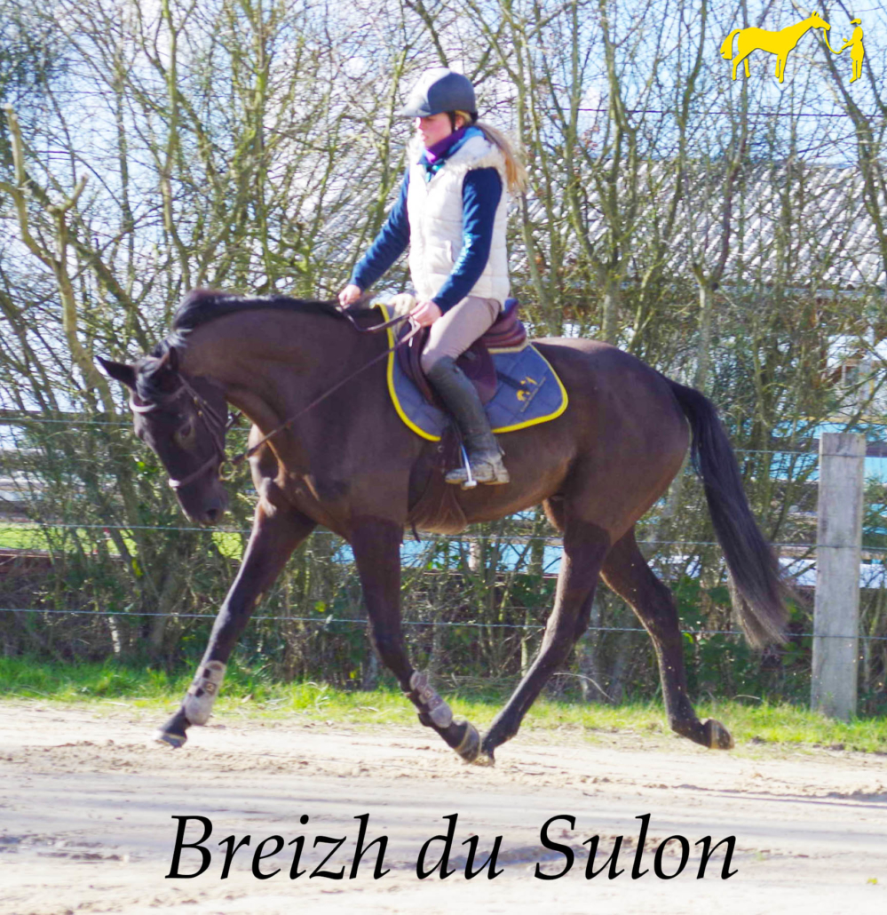 Découvrez la vidéo de Breizh du Sulon au travail dans la carrière !