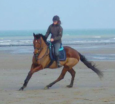 Une première sortie sur la plage pour Mystère du Ninian, notre ancienne pensionnaire.