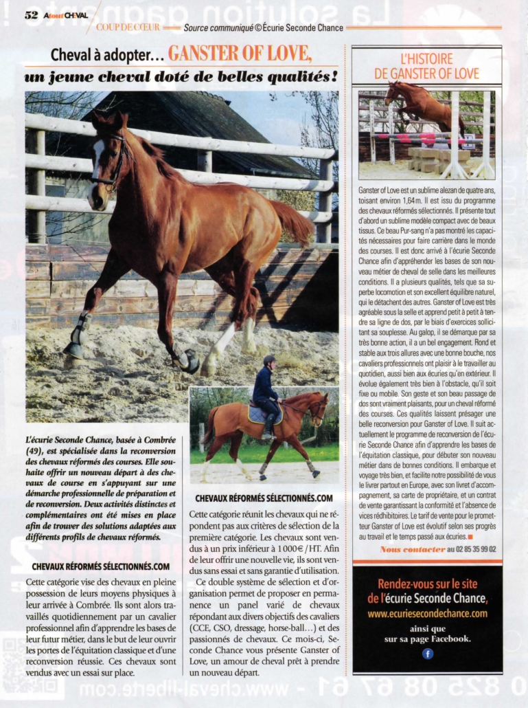 Ganster of Love à l'honneur dans le numéros 58 d'Atout Cheval