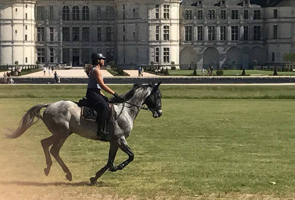 Polar Green, notre ancien pensionnaire en trotting sur la pelouse du château de Chambord