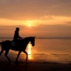 Le Mal de Mohaison partage de beaux moments sur la plage avec sa cavalière