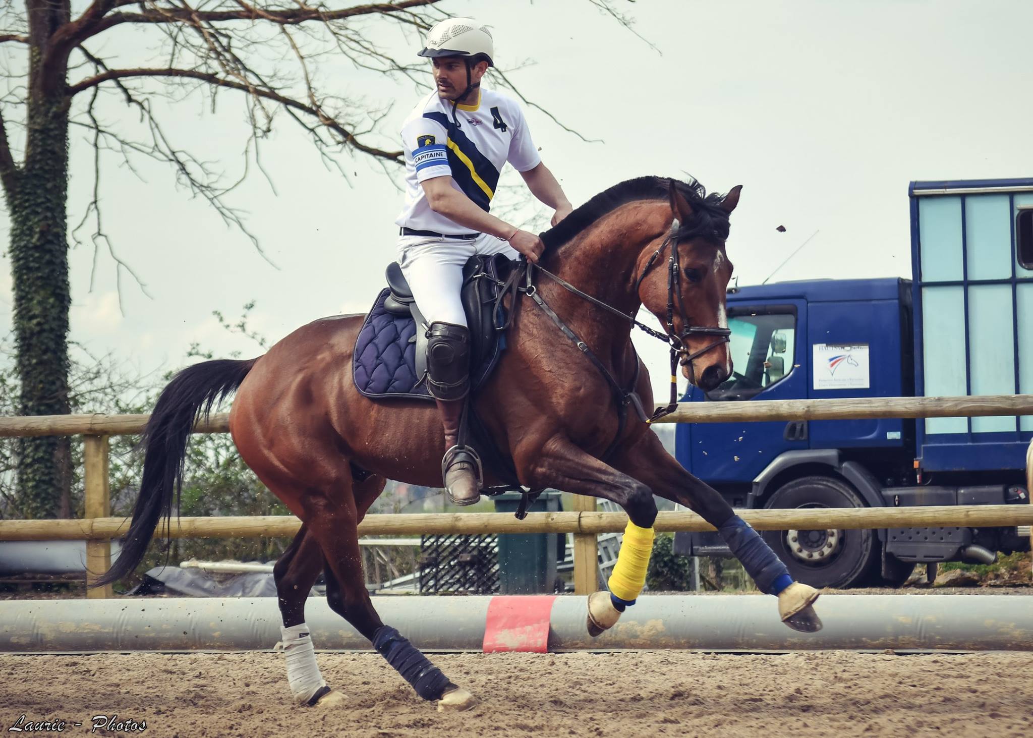 Strong Boy, notre ancien pensionnaire a été exemplaire lors de ses deux premiers matchs de Horseball