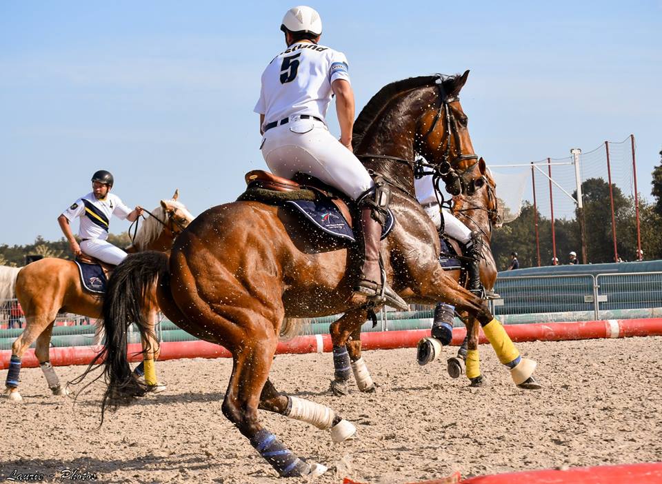 Une première participation aux championnats de france horseball pour Strongboy