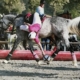 Lumine termine 3ème avec son équipe au championnat de france horseball